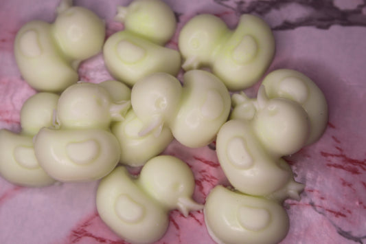 Wax melts patito